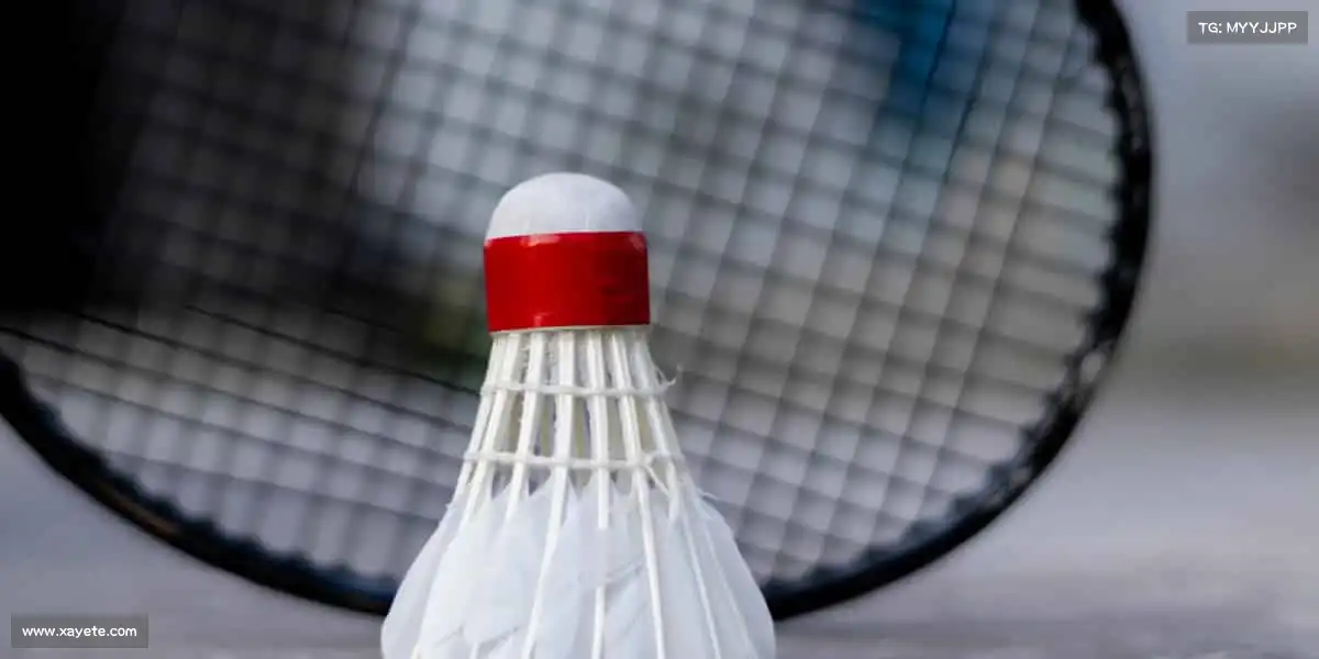 米兰体育的魅力,在于永远相信下一次会更好!🌟